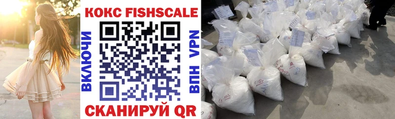 Купить закладки  Пестово  COCAIN Эквадор 