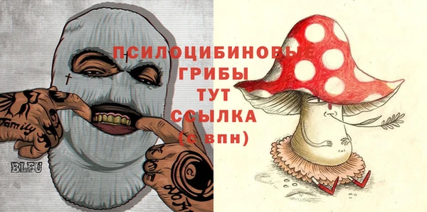 гидропоника Карталы