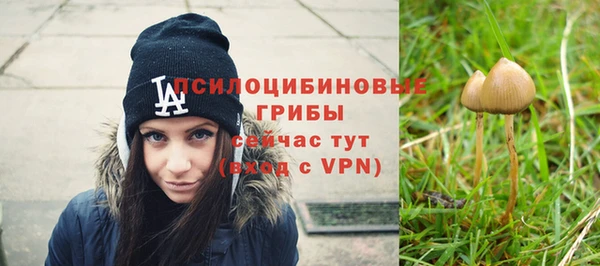 каннабис Карпинск